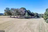 MediaURL