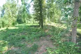 MediaURL