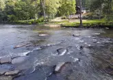 MediaURL