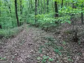 MediaURL