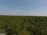 MediaURL