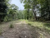 MediaURL
