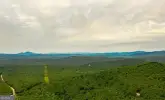 MediaURL