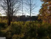 MediaURL