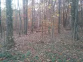 MediaURL