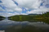 MediaURL