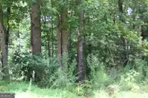 MediaURL
