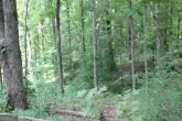 MediaURL