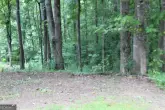 MediaURL