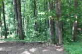 MediaURL