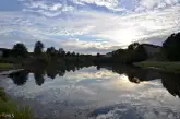 MediaURL