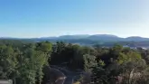 MediaURL