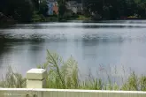 MediaURL