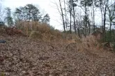MediaURL