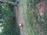 MediaURL